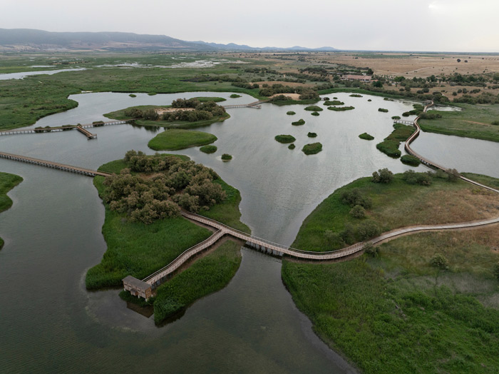 Las Tablas de Daimiel